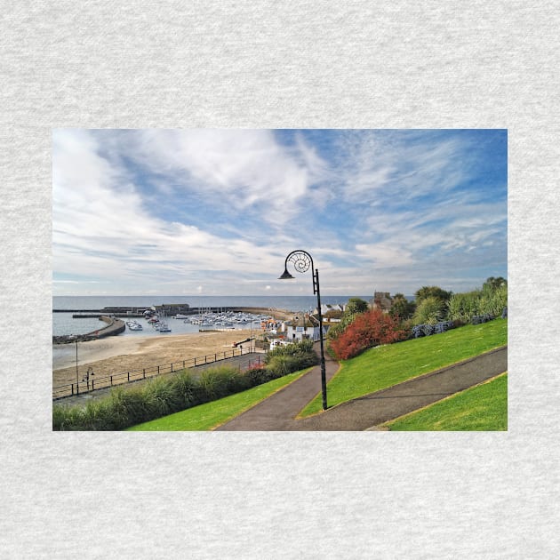 Lyme Regis Harbour from Langmoor Gardens by galpinimages